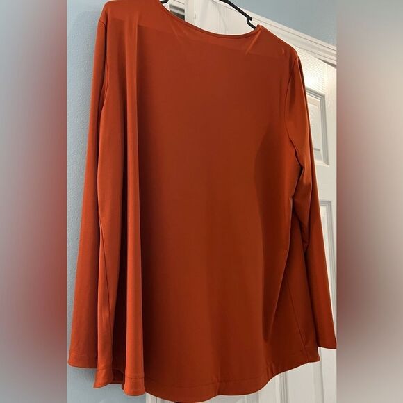 Susan Graver Long Sleeve V-Neck Top - XL - Pumpkin - EUC; clean/smoke-free home - Picture 2 of 8